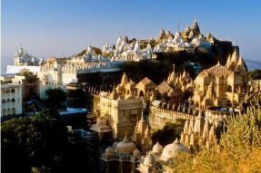 全球第一個全素食城市誕生，全面禁止動物屠殺與動物產品銷售！